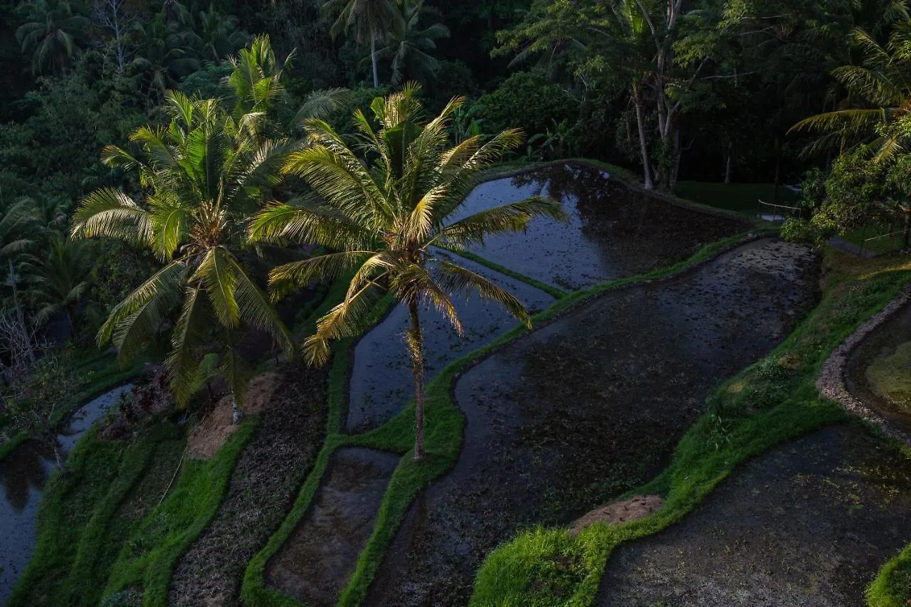 Resort Komaneka At Bisma Ubud