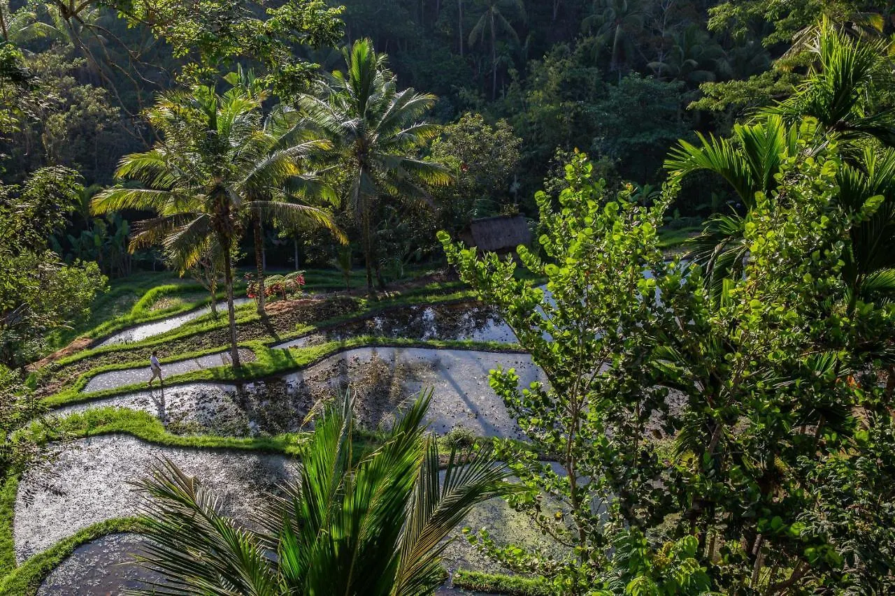 Komaneka At Bisma Ubud Ubud (Bali)